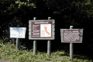 看板